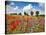 Poppies and vicias in meadow, Mecklenburg Lake District, Germany-Frank Krahmer-Stretched Canvas