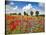 Poppies and vicias in meadow, Mecklenburg Lake District, Germany-Frank Krahmer-Stretched Canvas