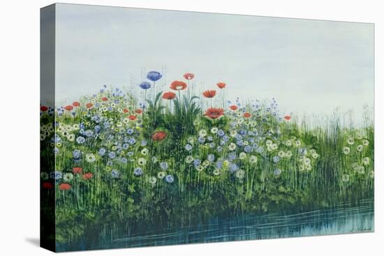 Poppies by a Stream-Andrew Nicholl-Premier Image Canvas