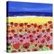 Poppies by the Beach-Caroline Duncan-Premier Image Canvas