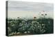 Poppies, Daisies and Other Flowers by the Sea-Andrew Nicholl-Premier Image Canvas