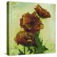 Poppies I-Herb Dickinson-Premier Image Canvas