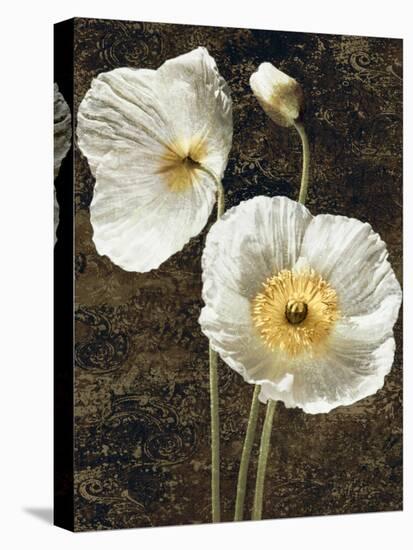 Poppies I-John Seba-Stretched Canvas