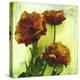 Poppies II-Herb Dickinson-Premier Image Canvas