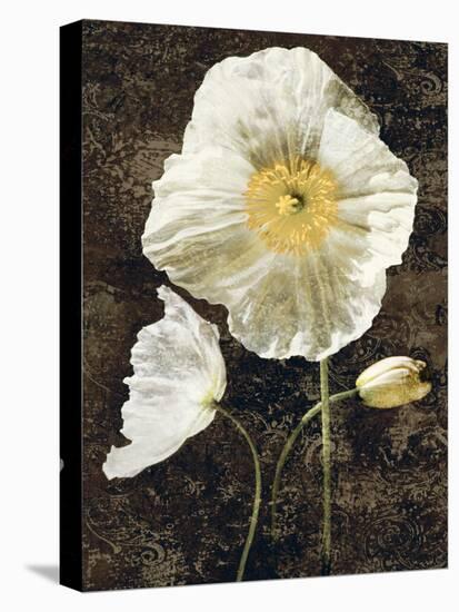 Poppies II-John Seba-Stretched Canvas