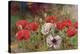 Poppies III-li bo-Premier Image Canvas