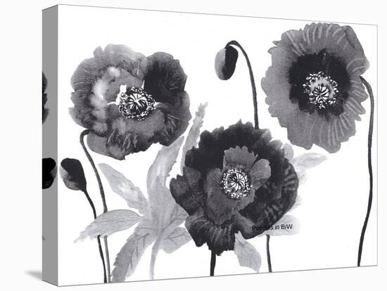 Poppies in Black and white-Neela Pushparaj-Premier Image Canvas