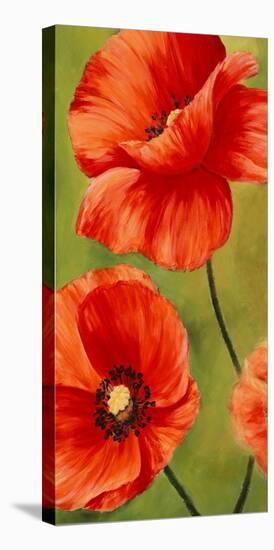 Poppies In The Wind I Stretched Canvas Print Luca Villa Art Com