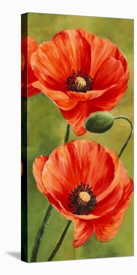 Poppies In The Wind Ii Stretched Canvas Print Luca Villa Art Com