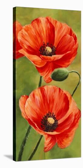 Poppies in the wind II-Luca Villa-Stretched Canvas