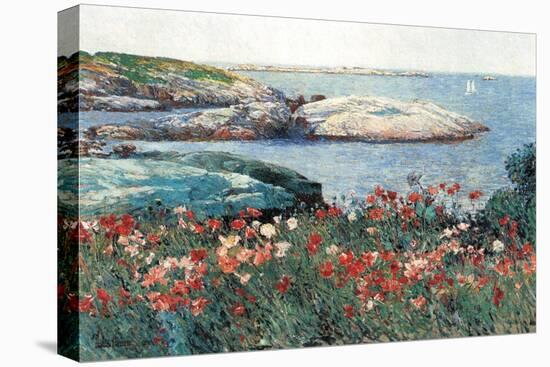 Poppies, Isle of Shoals-Childe Hassam-Stretched Canvas