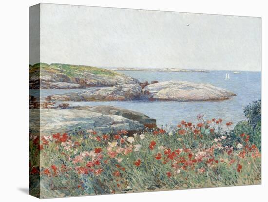 Poppies, Isles of Shoals, by Childe Hassam, 1891, American impressionist painting,-Childe Hassam-Stretched Canvas