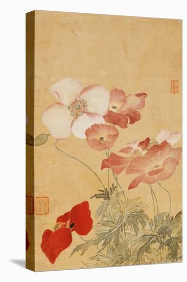Poppies (Leaf from an Album of Flower Paintings)-Yun Shouping-Premier Image Canvas