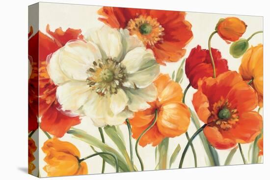 Poppies Melody I-Lisa Audit-Stretched Canvas