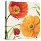 Poppies Melody II-Lisa Audit-Stretched Canvas