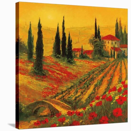 Poppies of Toscano I-Art Fronckowiak-Stretched Canvas