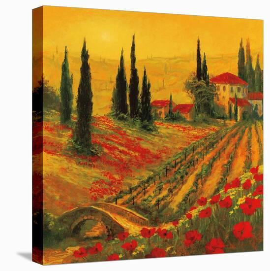 Poppies of Toscano I-Art Fronckowiak-Stretched Canvas