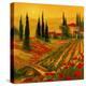 Poppies of Toscano I-Art Fronckowiak-Stretched Canvas