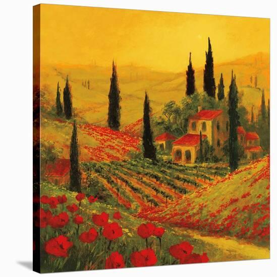 Poppies of Toscano II-Art Fronckowiak-Stretched Canvas