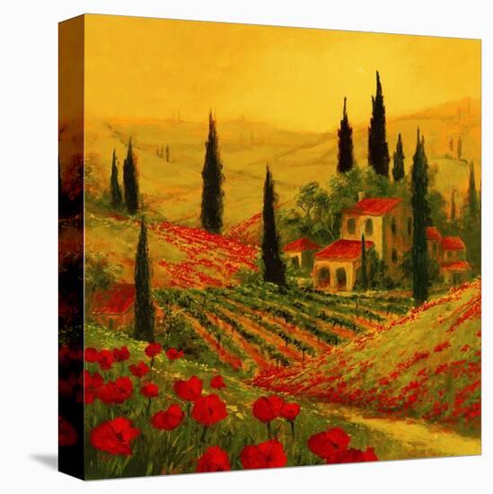 Poppies of Toscano II-Art Fronckowiak-Stretched Canvas