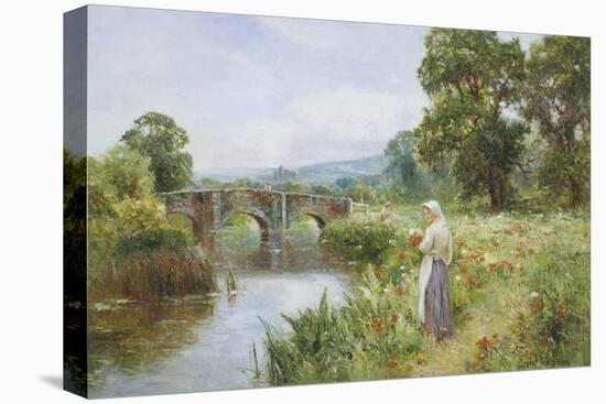 Poppies on the Riverbank-Ernest Walbourn-Premier Image Canvas
