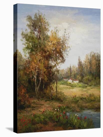 Poppies Pond-Hulsey-Stretched Canvas