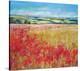 Poppies& Rolling Hills England-null-Stretched Canvas