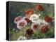 Poppies-Louis Marie Lemaire-Premier Image Canvas