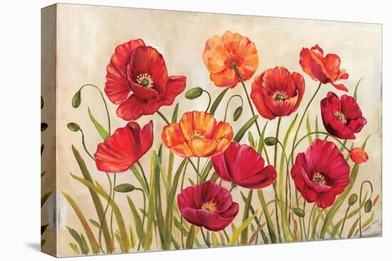 Poppies-Kimberly Poloson-Stretched Canvas