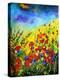 Poppies-Pol Ledent-Stretched Canvas