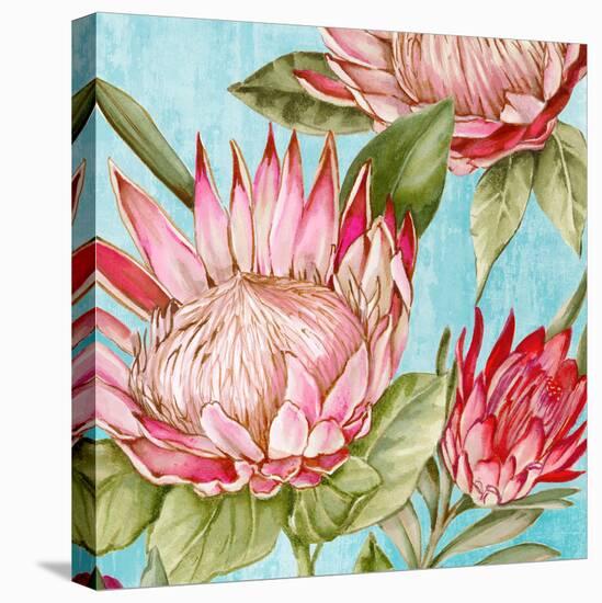 Popping King Protea II-Alex Black-Stretched Canvas