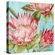 Popping King Protea II-Alex Black-Stretched Canvas