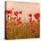 Poppy Acre-Joseph Eta-Stretched Canvas