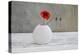 Poppy Blossom and Buds in White Vase-Andrea Haase-Premier Image Canvas