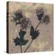 Poppy Fantasy II-Herb Dickinson-Premier Image Canvas