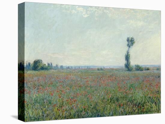 Poppy Field, 1881-Claude Monet-Premier Image Canvas