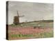Poppy Field, 1886-Sir David Murray-Premier Image Canvas
