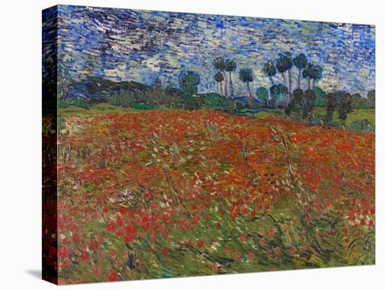 Poppy Field, 1890-Vincent van Gogh-Premier Image Canvas