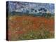 Poppy Field, 1890-Vincent van Gogh-Premier Image Canvas