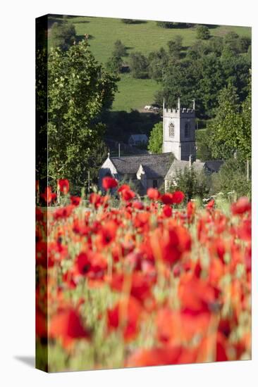 Poppy Field and St. Andrew's Church, Naunton, Cotswolds, Gloucestershire, England-Stuart Black-Premier Image Canvas