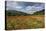 Poppy Field at Domat/Ems in Switzerland-Armin Mathis-Premier Image Canvas