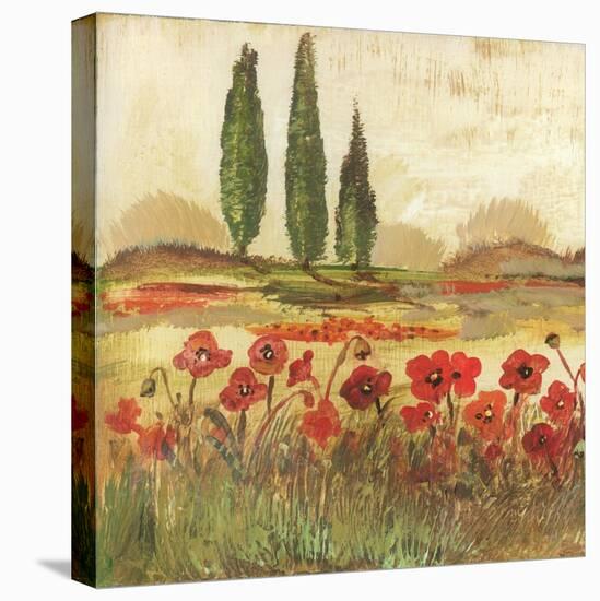 Poppy Field II-Gregory Gorham-Stretched Canvas