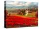 Poppy Fields Afar-Marino-Stretched Canvas