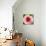 Poppy Flower I-Joseph Eta-Stretched Canvas displayed on a wall