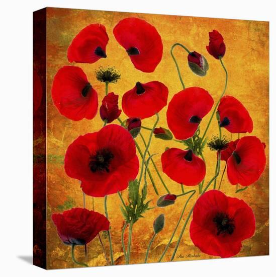 Poppy Flowers 2-Ata Alishahi-Premier Image Canvas