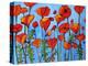 Poppy Garden-Patty Baker-Stretched Canvas