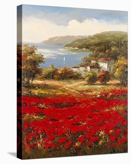Poppy Harbor-Marino-Stretched Canvas