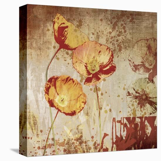 Poppy Heat II-Tandi Venter-Stretched Canvas