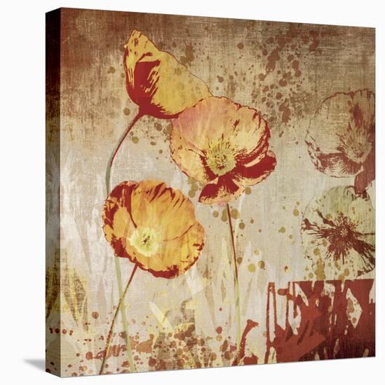 Poppy Heat II-Tandi Venter-Stretched Canvas