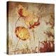 Poppy Heat II-Tandi Venter-Stretched Canvas